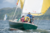 oystercatcher 3245c whyw16 sun 800 1685w